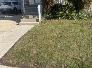 Mike R.'s Lawn Mowing Service service result