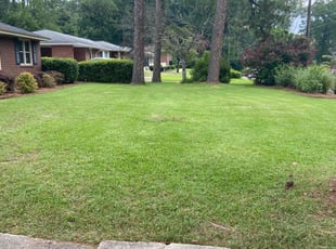 Joan C.'s Grass Cutting service result