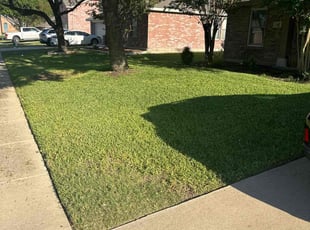 Marsha H.'s Lawn Care service result