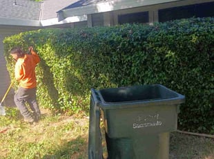 Bush Trimming by Alicia Joanna Narayan for Kim W. in Antelope, CA