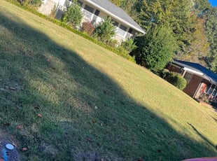 Mulching by Jovon Braddy for Brendan T. in East Point, GA