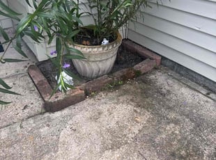Cleanups by Joseph Angelle for Niko U. in Lafayette, LA