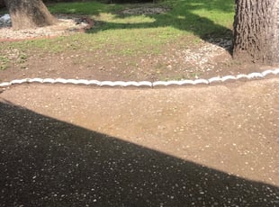 Cleanups by Luciano Rivera for Jon B. in Dallas, TX