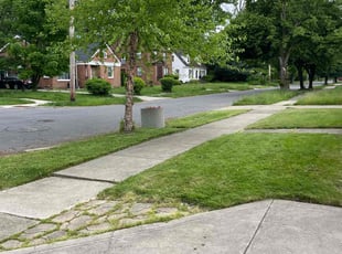 Don R.'s Grass Cutting service result