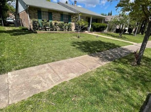 Sandra Z.'s Lawn Mowing service result