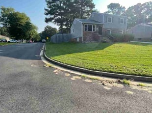 Leah A.'s Lawn Maintenance service result