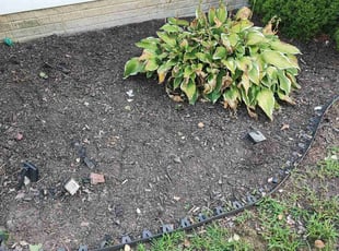 Weeding by Icaro Dos Santos for Melvin H. in Frederick, MD