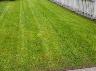 Jean S.'s Lawn Service service result