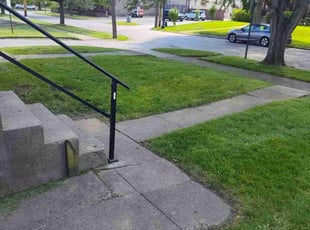 Shane V.'s Grass Cutting service result