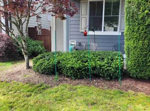 Bush Trimming by Kenneth Rabbitt for Maureen K. in Olympia, WA
