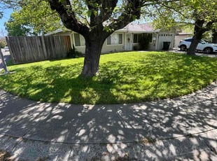 March M.'s Lawn Care service result