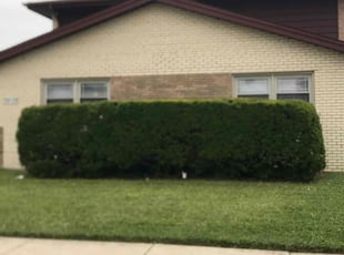 Bush Trimming by Alonzo Harris for Adrienne F. in Alsip, IL