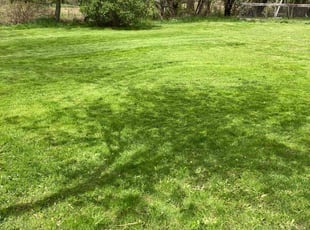 John S.'s Lawn Care service result