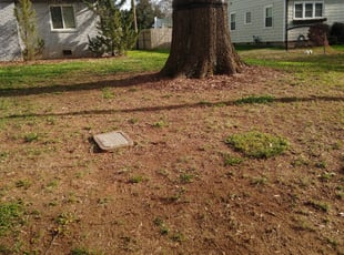 Cleanups by Greg-Davis Star-Lanter for Jason S. in Charlotte, NC