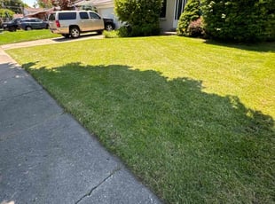 Sheila D.'s Lawn Service service result