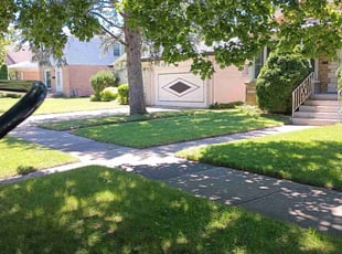 Alberto B.'s Lawn Maintenance service result