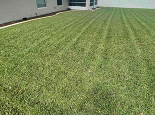 Brandon A.'s Lawn Care service result