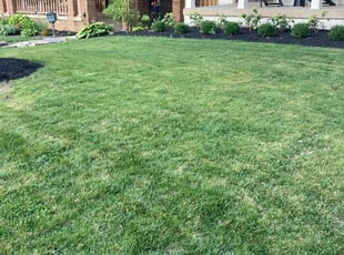 Jennifer S.'s Lawn Care service result