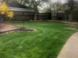 Vikas S.'s Lawn Mowing service result