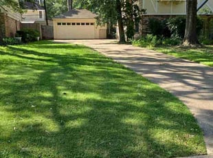 Megan W.'s Lawn Care service result