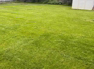 Randy B.'s Lawn Care service result