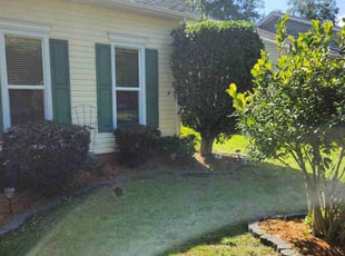 Bush Trimming by Rodney Rhone for Steve R. in Lexington, SC