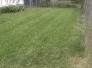 Andrew B.'s Lawn Care service result