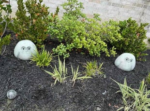 Weeding by Fernando Rodriguez for Mary M. in Katy, TX