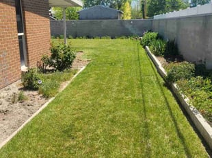 Tarik S.'s Lawn Care service result