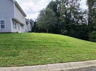 ALAN M.'s Yard Cutting service result