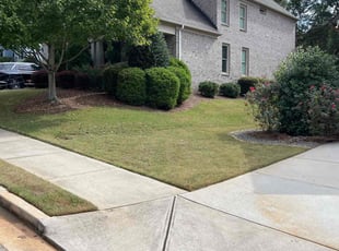 Grace H.'s Lawn Mowing service result
