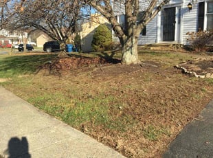 Leaf Removal by Tamula Chery for Marc S. in Springfield, VA