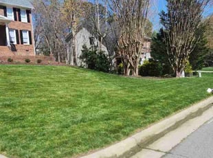 Wale E.'s Lawn Service service result