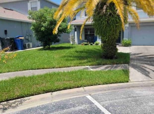 David M.'s Lawn Service service result