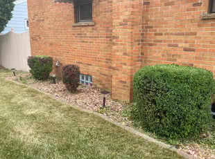 Bush Trimming by Darren Mudget for Breanin B. in Lansing, MI