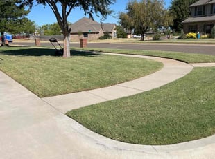 Georgianne G.'s Lawn Care service result