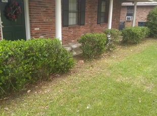 Bush Trimming by Bernell Martin for Joseph D. in Baton Rouge, LA