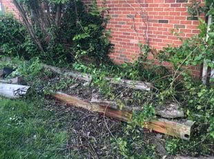 Cleanups by Stephen Reynolds for Lindsay R. in Vandalia, OH