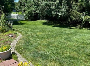 Jordan D.'s Lawn Service service result