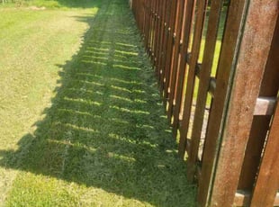 Bill F.'s Yard Cutting service result
