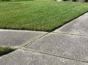 Mike L.'s Lawn Mowing Service service result