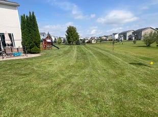 Ellie J.'s Yard Cutting service result