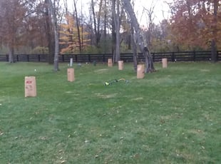 Leaf Removal by Cody Wolfe for Suellen H. in Blacklick, OH