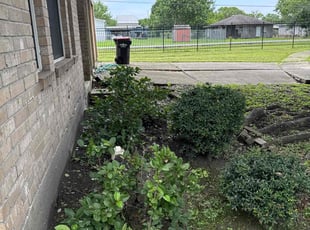 Bush Trimming by Nicole Ross for Jessica D. in Fresno, TX
