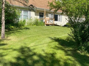 JJoel B.'s Grass Cutting service result