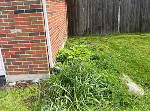 Weeding by Anthony Prince for Ember W. in Dayton, OH