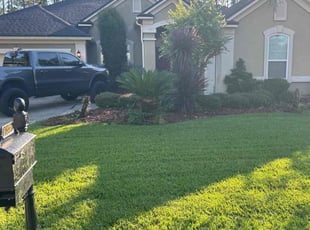 Stacy J.'s Lawn Mowing service result