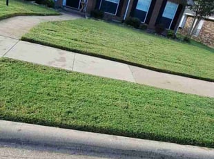 Esperanza G.'s Grass Cutting service result