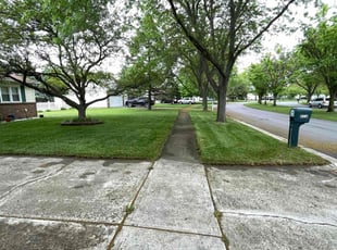 Michael N.'s Lawn Care service result