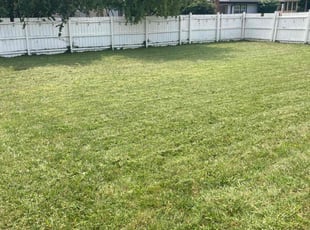 Tuesday L.'s Grass Cutting service result